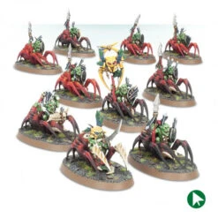 Chevaucheurs D’Araignées - Gloomspite Gitz