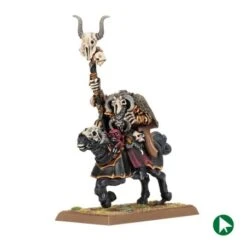 Sorcier Du Chaos Sur Destrier Du Chaos - Guerriers Du Chaos - TOW